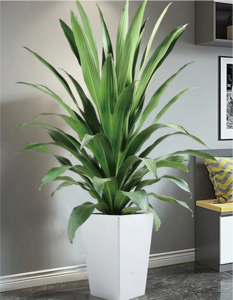 也门铁（0.6米20/月）（0.8米30/月）